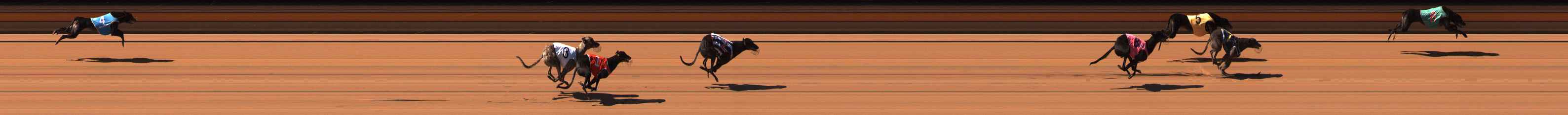 Photo finish for Ballarat Race 3