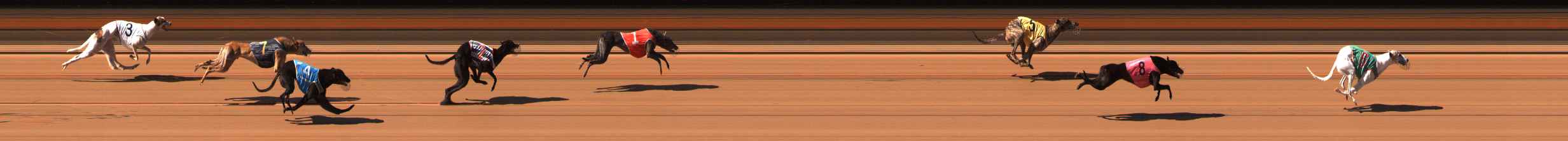 Photo finish for Ballarat Race 5