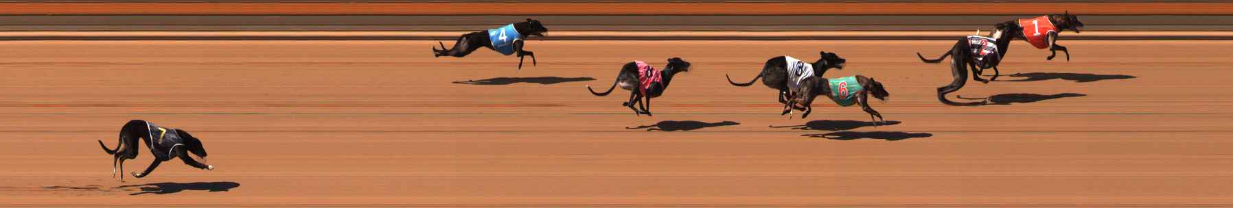 Photo finish for Ballarat Race 6