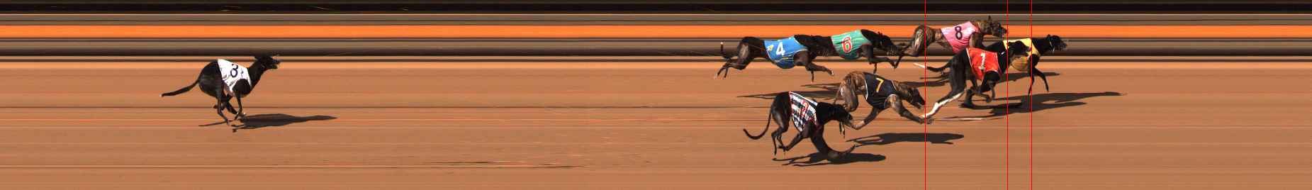 Photo finish for Ballarat Race 8