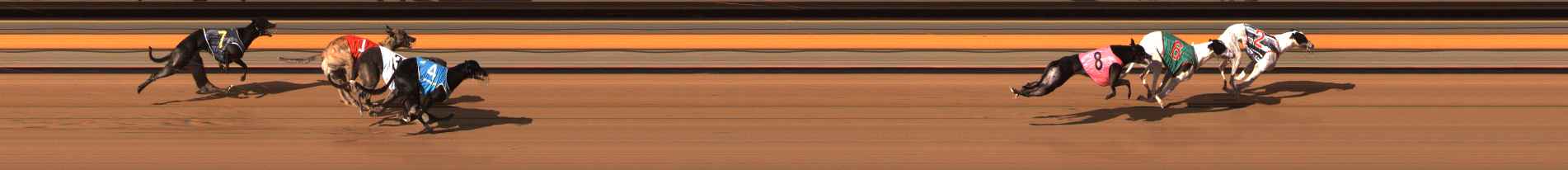 Photo finish for Ballarat Race 10