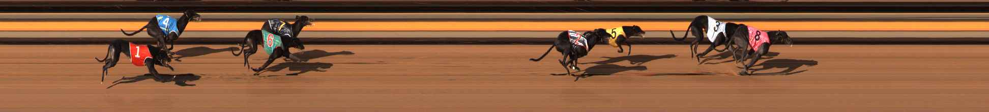 Photo finish for Ballarat Race 11