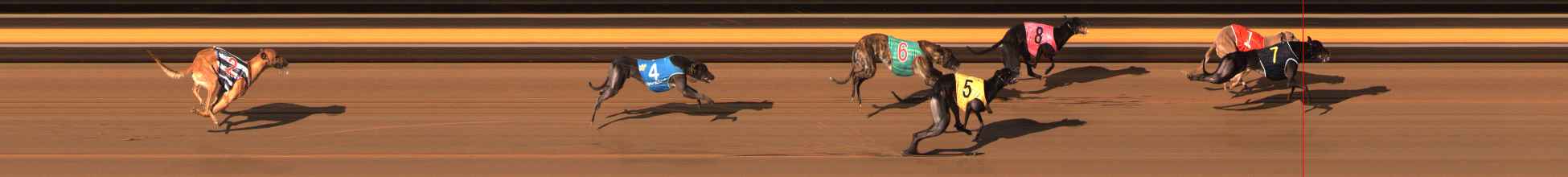 Photo finish for Ballarat Race 12