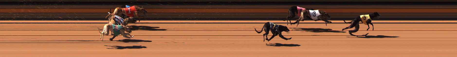 Photo finish for Ballarat Race 2