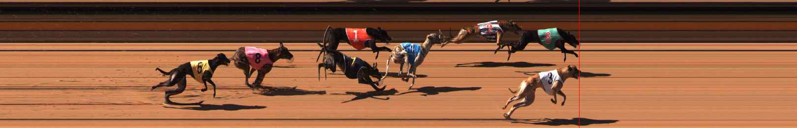 Photo finish for Ballarat Race 3