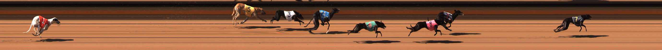 Photo finish for Ballarat Race 4