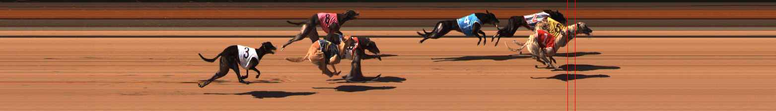 Photo finish for Ballarat Race 5