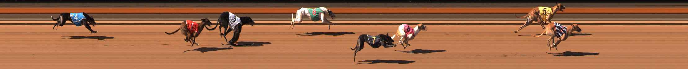 Photo finish for Ballarat Race 6