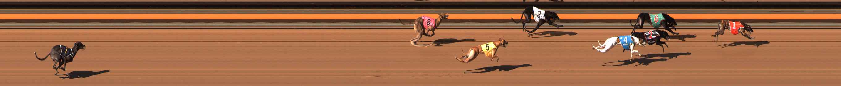 Photo finish for Ballarat Race 9