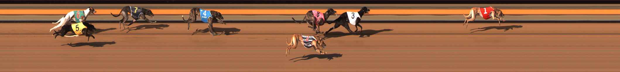 Photo finish for Ballarat Race 10