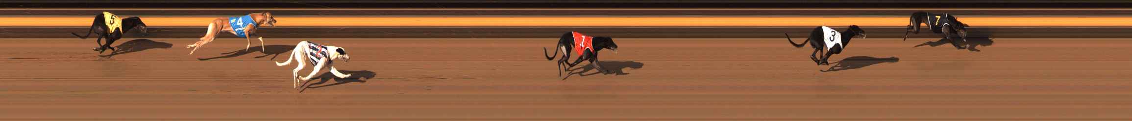 Photo finish for Ballarat Race 12