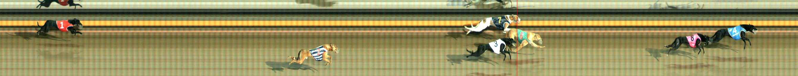 Photo finish for Ballarat Race 2