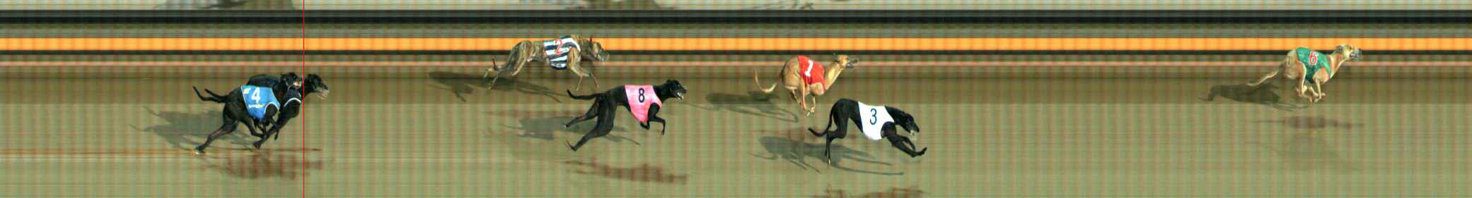 Photo finish for Ballarat Race 4
