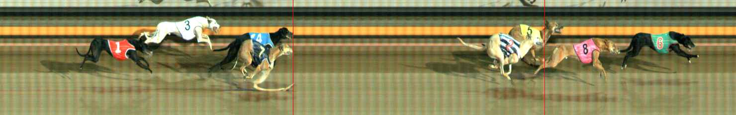 Photo finish for Ballarat Race 6