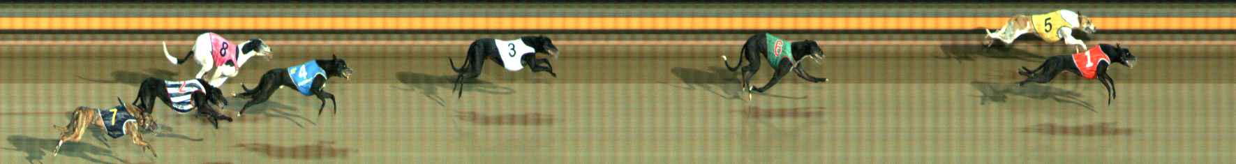 Photo finish for Ballarat Race 10