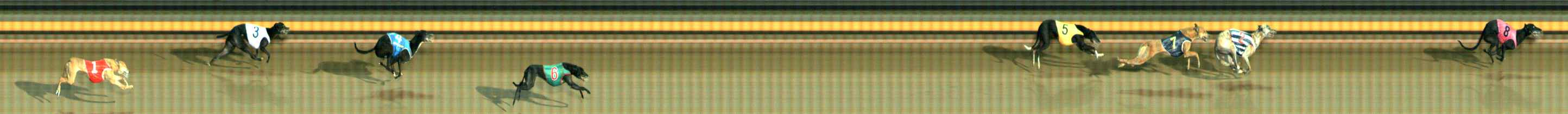 Photo finish for Ballarat Race 11