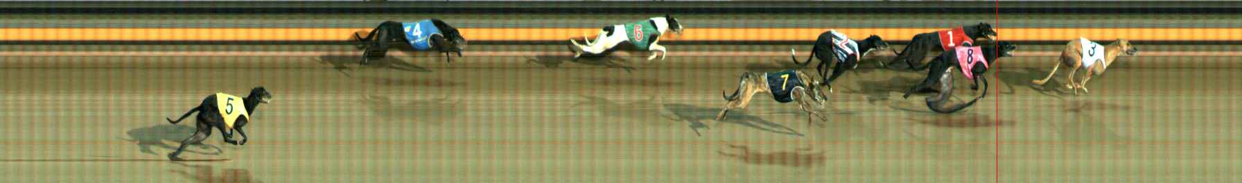 Photo finish for Ballarat Race 12