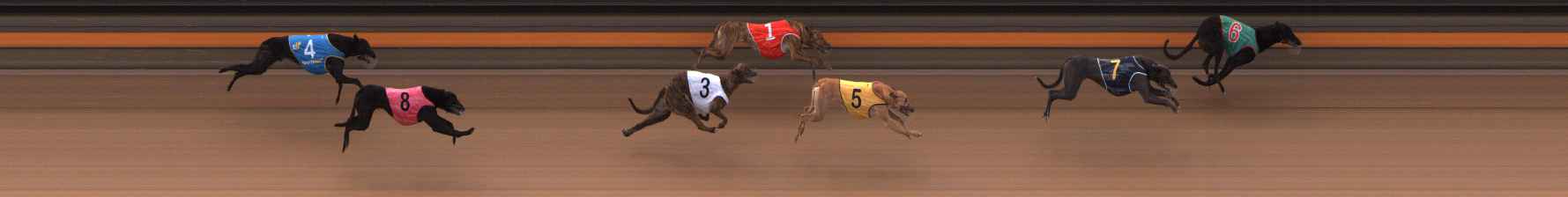 Photo finish for Ballarat Race 1