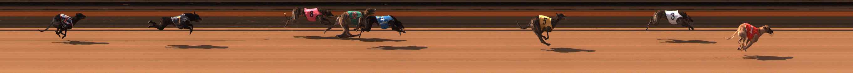 Photo finish for Ballarat Race 3