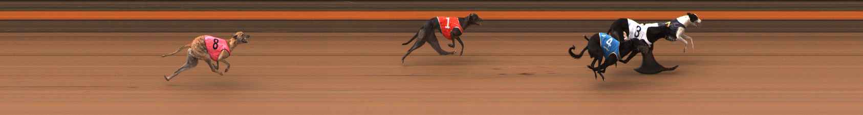 Photo finish for Ballarat Race 5