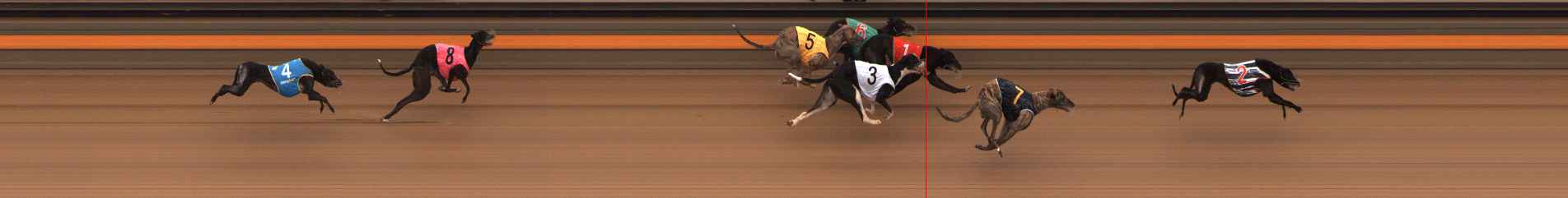 Photo finish for Ballarat Race 6