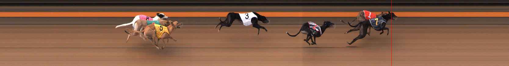 Photo finish for Ballarat Race 8