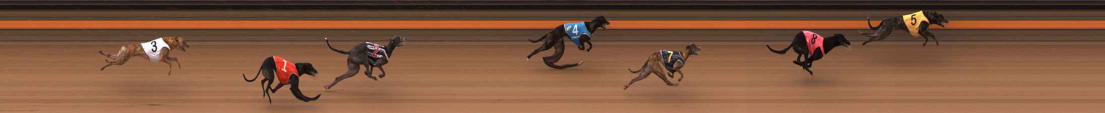 Photo finish for Ballarat Race 9