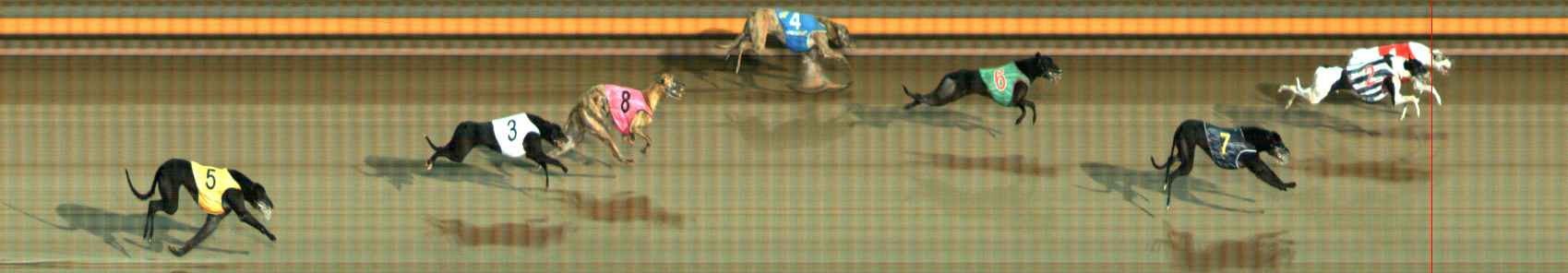 Photo finish for Ballarat Race 3