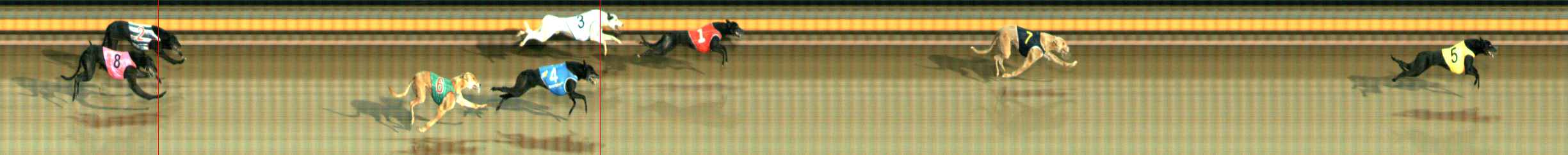 Photo finish for Ballarat Race 4