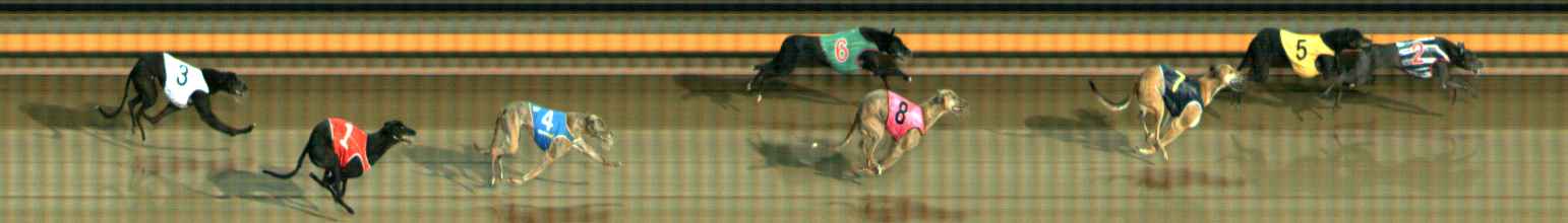 Photo finish for Ballarat Race 6