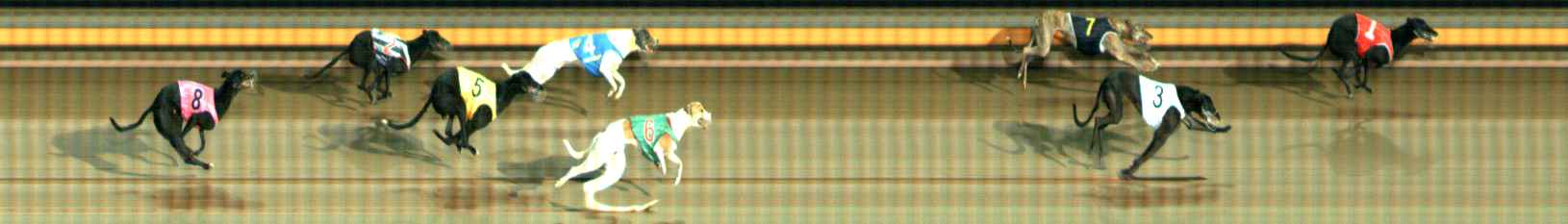 Photo finish for Ballarat Race 7