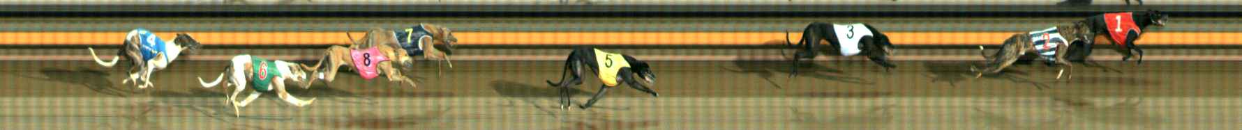 Photo finish for Ballarat Race 8