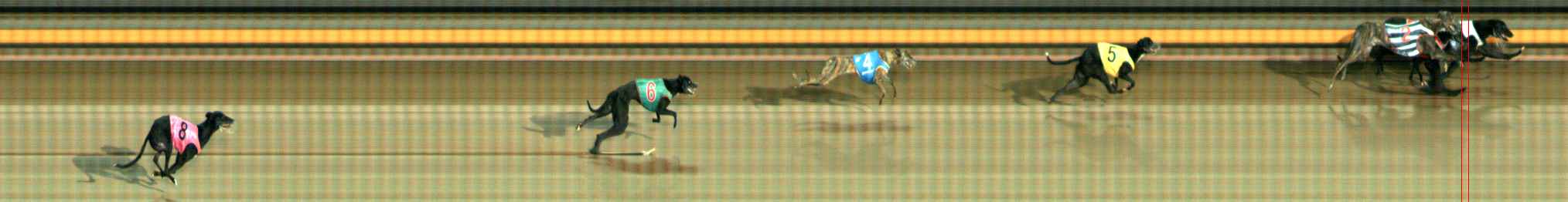 Photo finish for Ballarat Race 9