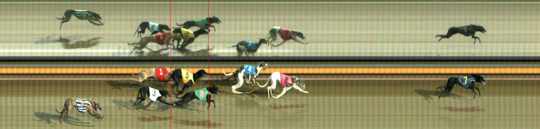 Photo finish for Ballarat Race 10