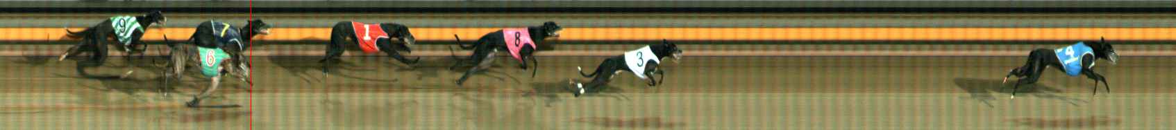 Photo finish for Ballarat Race 12