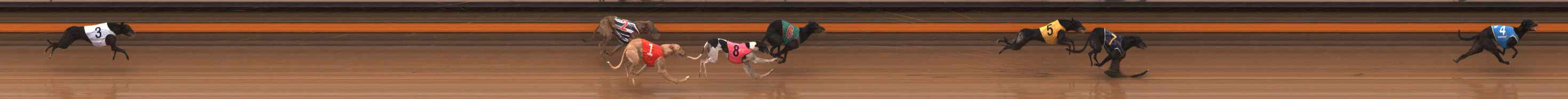 Photo finish for Ballarat Race 3