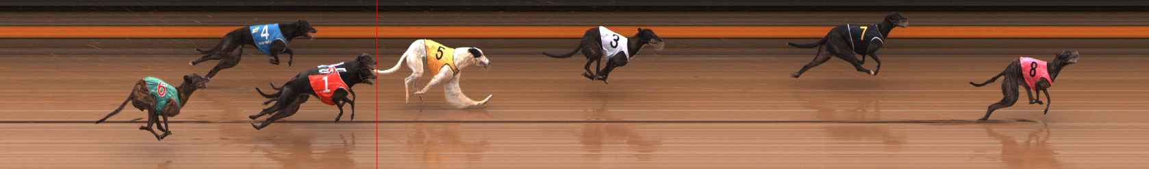 Photo finish for Ballarat Race 6