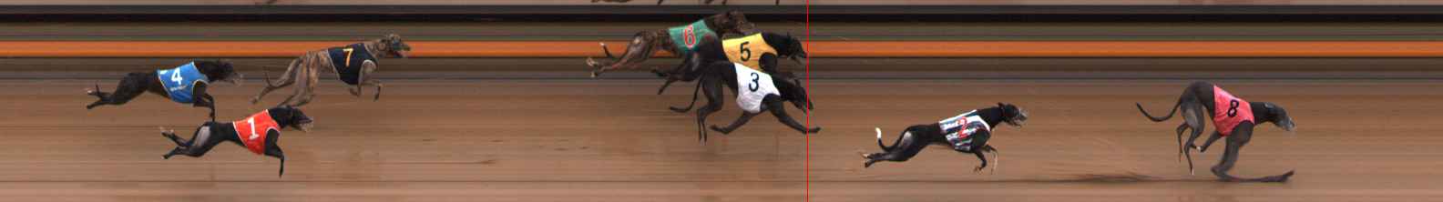 Photo finish for Ballarat Race 8