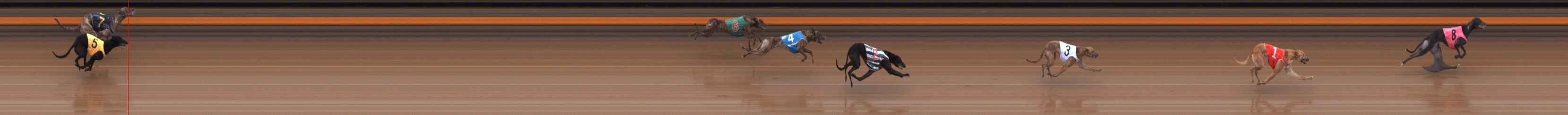 Photo finish for Ballarat Race 9