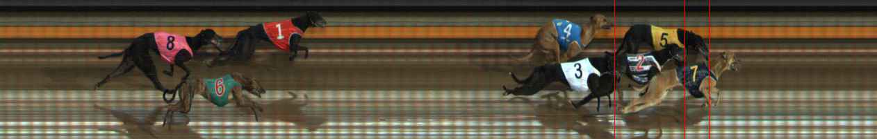 Photo finish for Ballarat Race 11