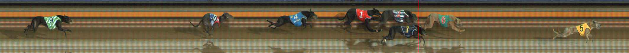 Photo finish for Ballarat Race 12