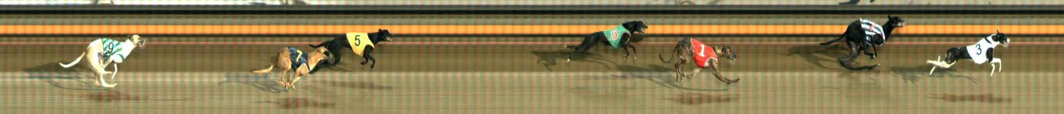 Photo finish for Ballarat Race 1