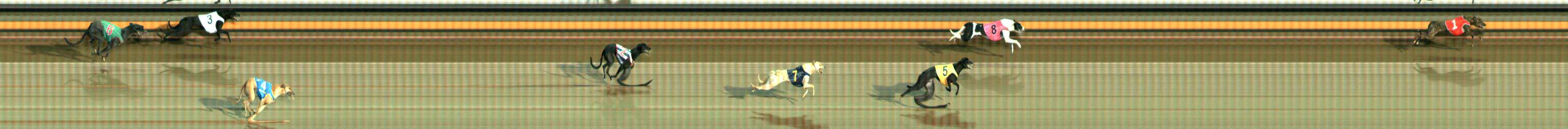 Photo finish for Ballarat Race 2