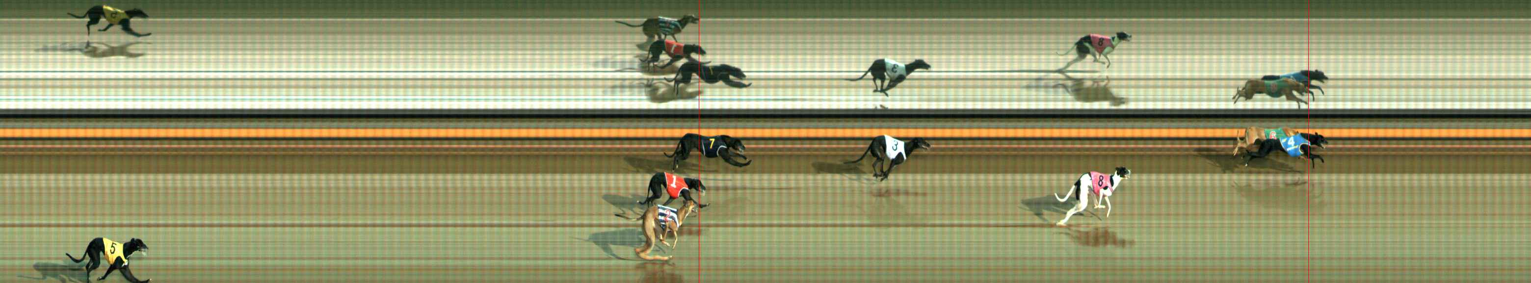 Photo finish for Ballarat Race 3