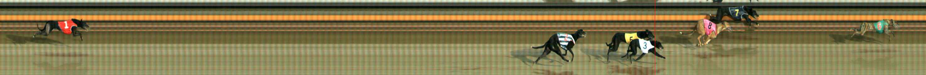 Photo finish for Ballarat Race 5