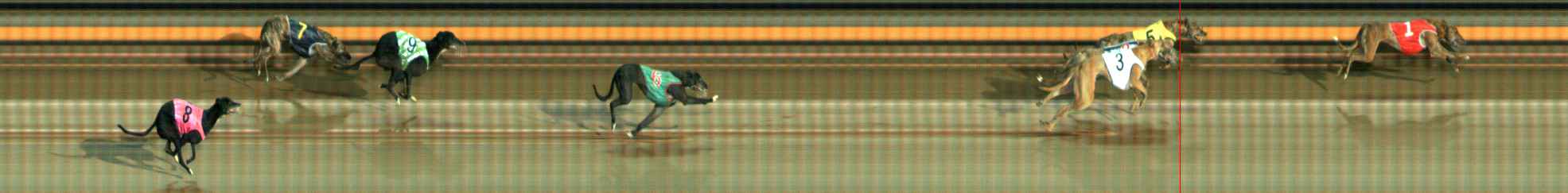 Photo finish for Ballarat Race 6