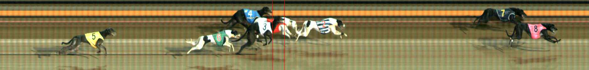 Photo finish for Ballarat Race 8