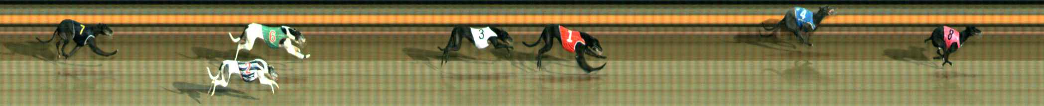 Photo finish for Ballarat Race 10