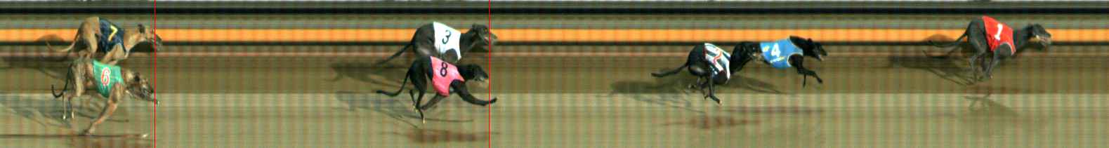 Photo finish for Ballarat Race 11