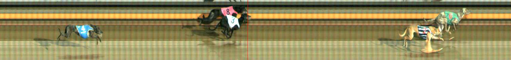 Photo finish for Ballarat Race 12